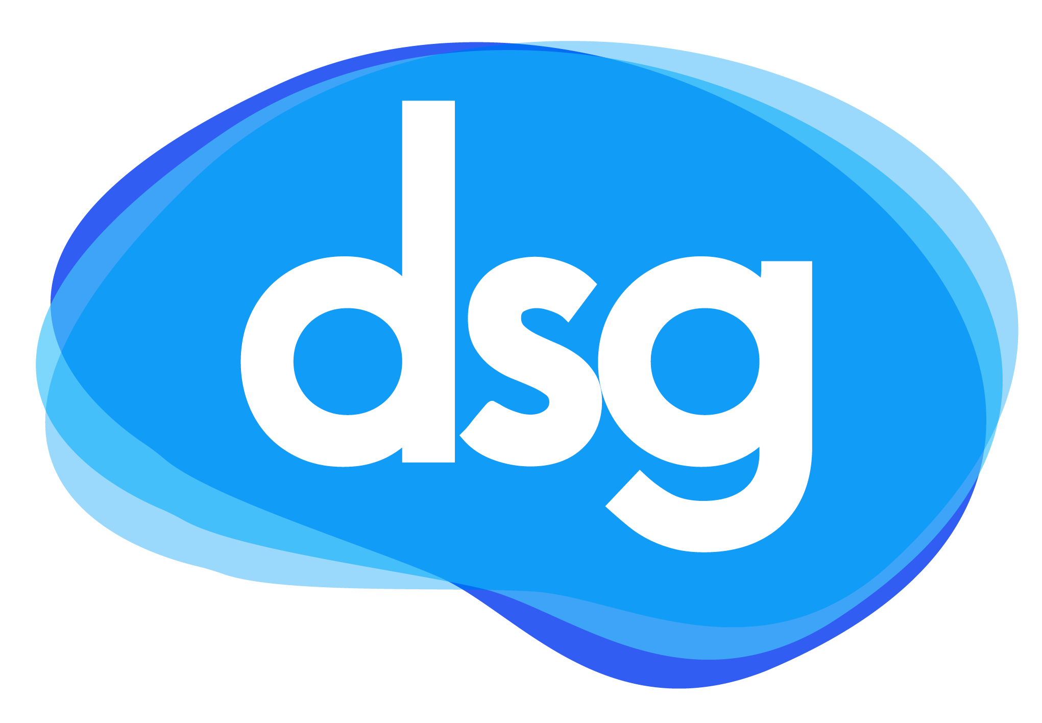 DSG Logo